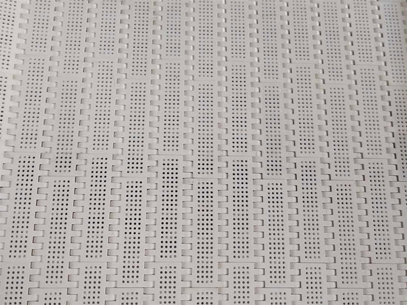 塑料模块输送带