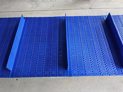 果蔬提升机输送带