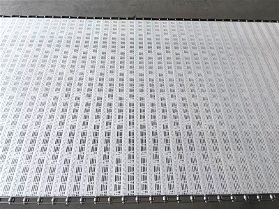 塑料清洗输送带